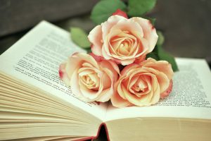 Free Book of Ra Slot: Step-by-Step Guide for India (2026)