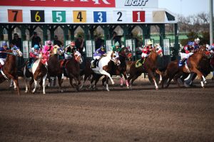 Best Odds for Horse Racing Login: Step-by-Step Guide for India (2026)